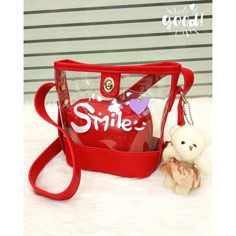 Clear Satchel bag with inner pouch