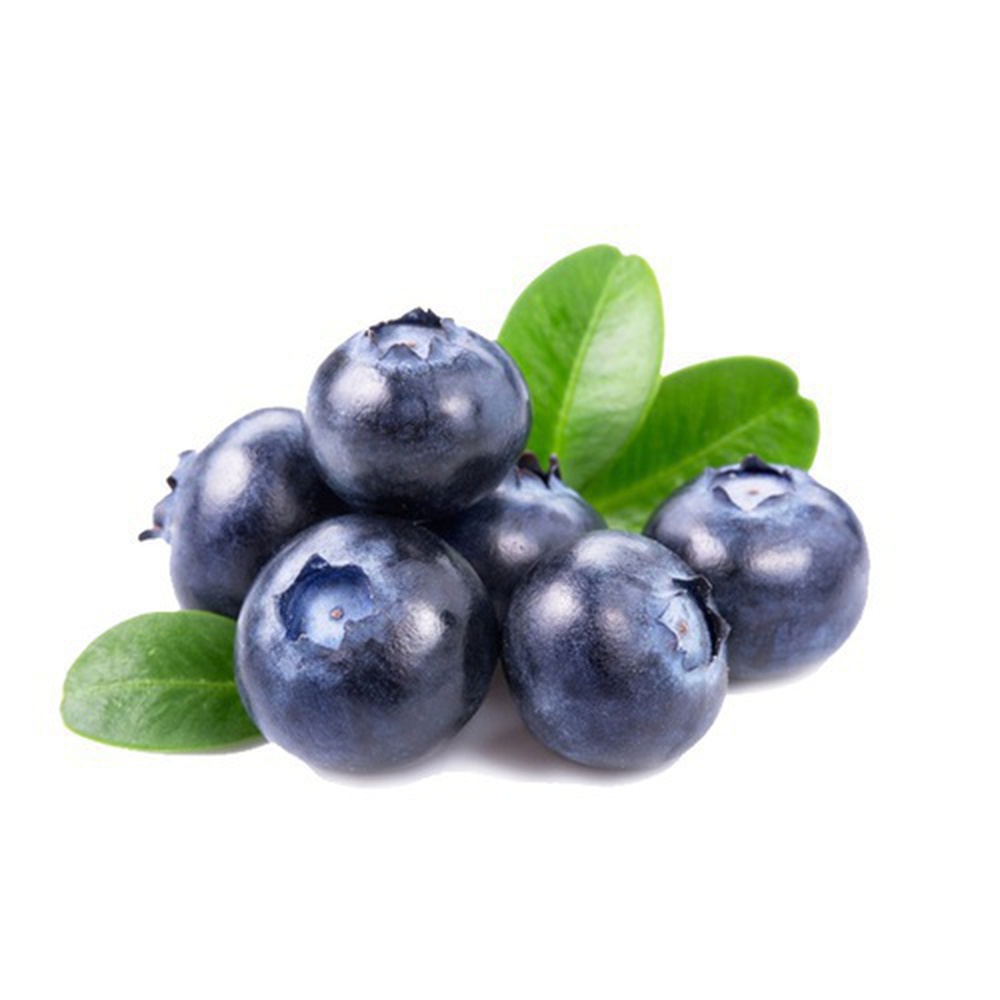 Blue Berry Fresh Blue Berry.This product will be delivered to you, exact after 1 week, on the date when you place order Only For Rawalpindi And Islamabad 125 Grm Pkt