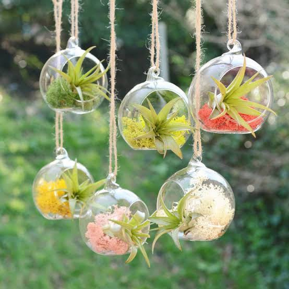 1 Piece Transparent Ball Globe Shape Clear Hanging Glass Vase Flower Plants Terrarium Container DIY Wedding Home Decor Indoor Outdoor