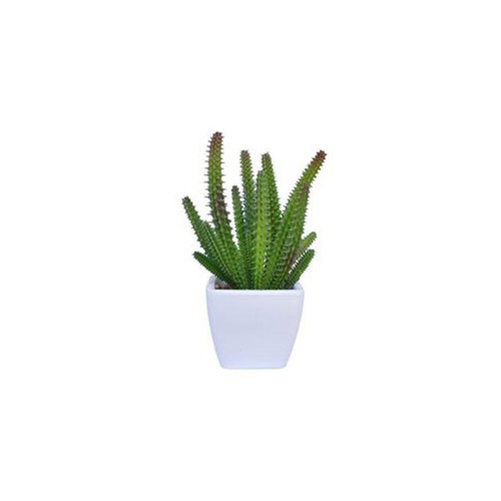 Decorative Lifelike Mini Artificial Cactus Plant in White Ceramic Pot