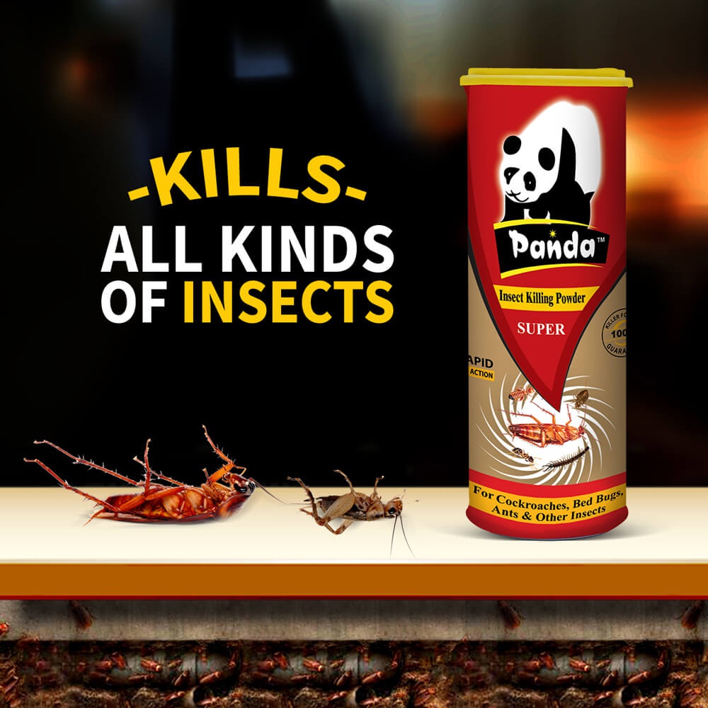 Panda Insect Killing Powder Super (125 GM)