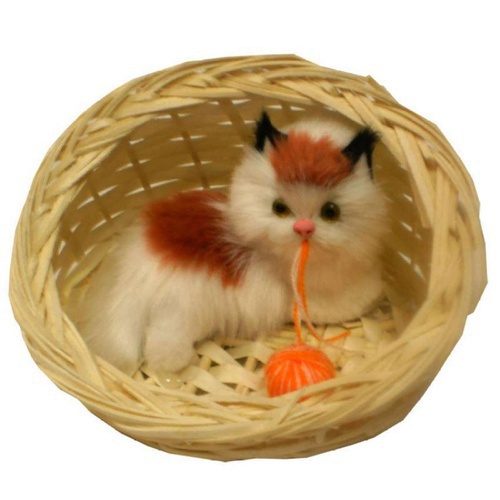 Cat In Basket With Live Sound On Motion