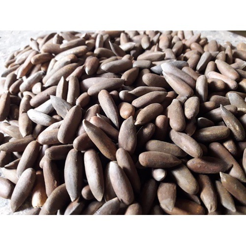 Chilgoza (Pine Nuts)